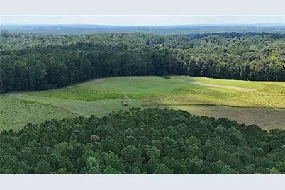 00001 Steadman Road, Tallapoosa, GA 30176 - Photo 13