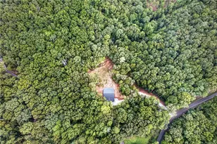 1030 Old Flat Branch Rd, Ellijay, GA 30540 - Photo 19