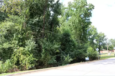 218 Ella Drive, Griffin, GA 30223 - Photo 3