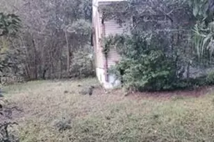 1301 Lakeview Dr, Macon, GA 31206 - Photo 19