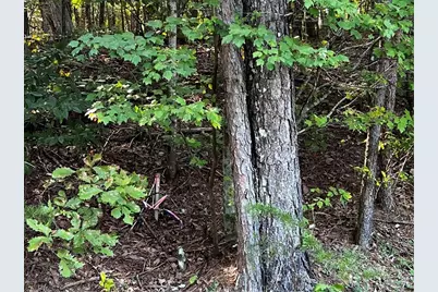 330 Wild Azalea Trail, Waleska, GA 30183 - Photo 23