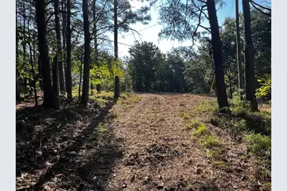 330 Wild Azalea Trail, Waleska, GA 30183 - Photo 31