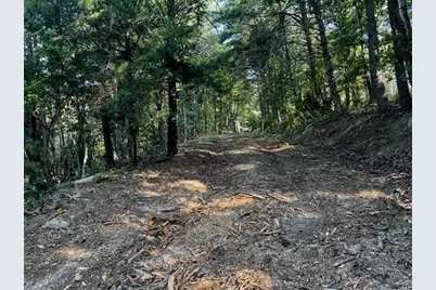 330 Wild Azalea Trail, Waleska, GA 30183 - Photo 29