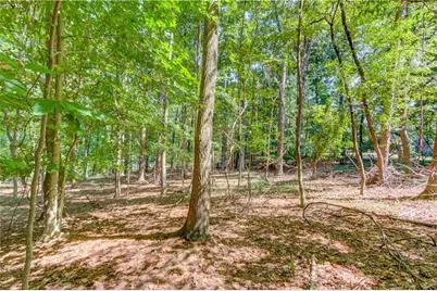 211 Buck Trail, Hoschton, GA 30548 - Photo 11