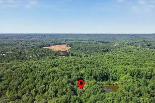 430 Legion Lake Rd, Villa Rica, GA 30180 - Photo 61