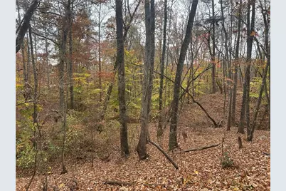 932 Sardis Road, Canton, GA 30114 - Photo 11