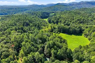 48 Twin Creeks, Blue Ridge, GA 30513 - Photo 41