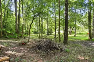 48 Twin Creeks, Blue Ridge, GA 30513 - Photo 39