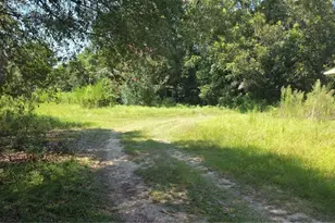 159 Grimsley Rd, Colquitt, GA 39837 - Photo 7
