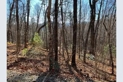 Lot #1 Forest Canopy Way, Clayton, GA 30525 - Photo 5