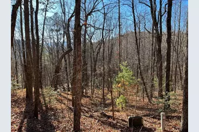 Lot #1 Forest Canopy Way, Clayton, GA 30525 - Photo 7
