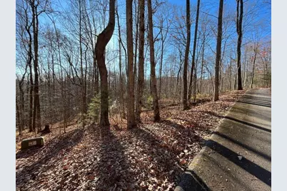 Lot #2 Forest Canopy Way, Clayton, GA 30525 - Photo 5