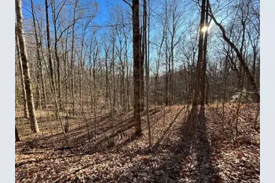 Lot #2 Forest Canopy Way, Clayton, GA 30525 - Photo 9