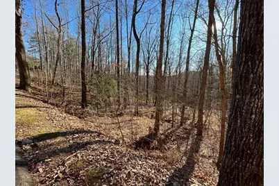 Lot #2 Forest Canopy Way, Clayton, GA 30525 - Photo 7
