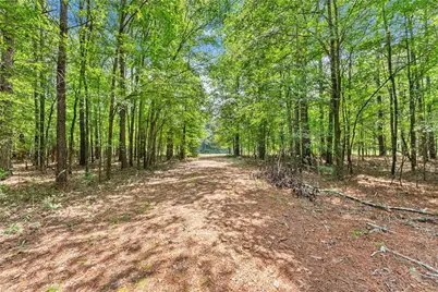 1097 Doster Road, Jefferson, GA 30549 - Photo 23