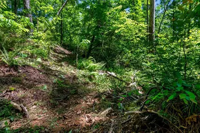 0 Shallow Water Way, Talking Rock, GA 30175 - Photo 15