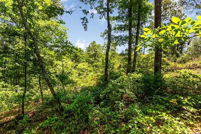 0 Shallow Water Way, Talking Rock, GA 30175 - Photo 7