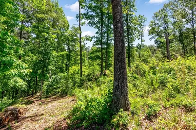0 Shallow Water Way, Talking Rock, GA 30175 - Photo 11