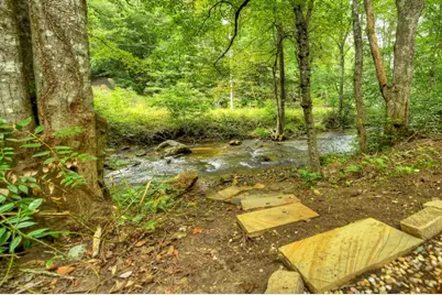 1821 Stanley Creek Road, Cherry Log, GA 30522 - Photo 61