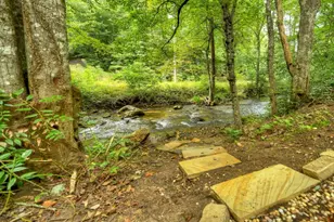 1821 Stanley Creek Rd, Cherry Log, GA 30522 - Photo 61