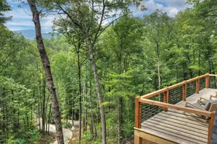 1821 Stanley Creek Rd, Cherry Log, GA 30522 - Photo 27