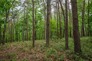 206R Mystic Trail Ln, Jasper, GA 30143 - Photo 1