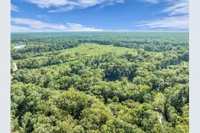 0 Brook Rd, Jesup, GA 31545 - Photo 5