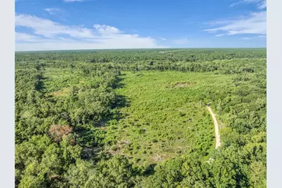 0 Brook Rd, Jesup, GA 31545 - Photo 11