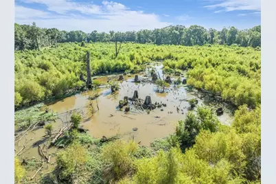 0 Brook Rd, Jesup, GA 31545 - Photo 21