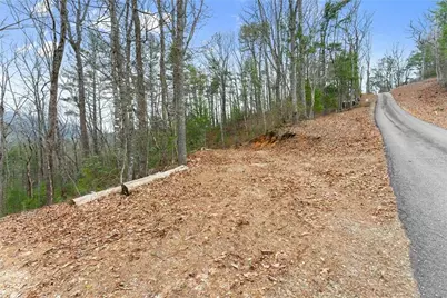 279 Cindy Cove Road, Blairsville, GA 30512 - Photo 43