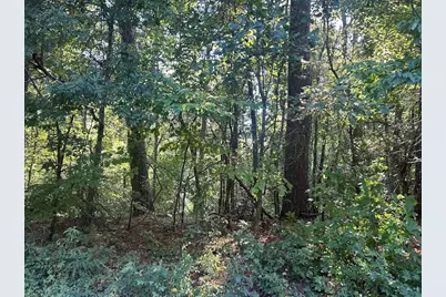 0 Springer Road, Whitesburg, GA 30185 - Photo 11