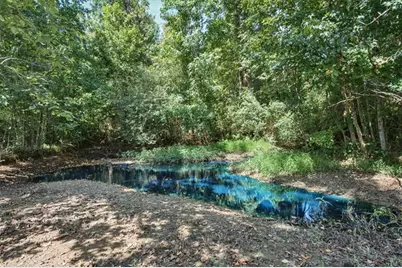 [Address not provided], Dawsonville, GA 30534 - Photo 37