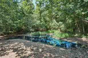 [Address not provided], Dawsonville, GA 30534 - Photo 37