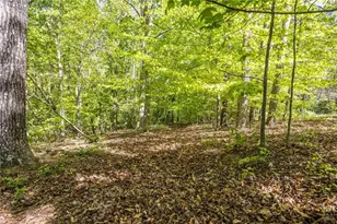 8277 Buchanan Hwy, Dallas, GA 30157 - Photo 33