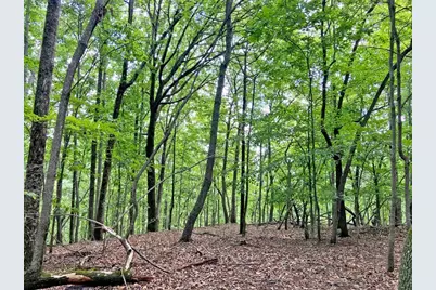 40.7Ac Falling Pines Road, Dahlonega, GA 30533 - Photo 5