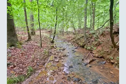40.7Ac Falling Pines Road, Dahlonega, GA 30533 - Photo 11