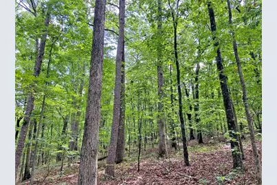 40.7Ac Falling Pines Road, Dahlonega, GA 30533 - Photo 3