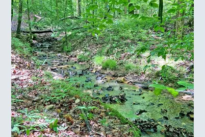 40.7Ac Falling Pines Road, Dahlonega, GA 30533 - Photo 13