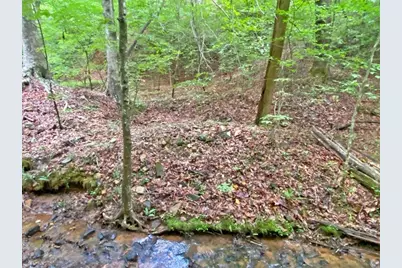 40.7Ac Falling Pines Road, Dahlonega, GA 30533 - Photo 9