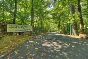 200 W Goldmine Rd, Ellijay, GA 30536 - Photo 67