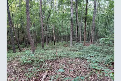 Lot 16 Norton Trail, Dahlonega, GA 30533 - Photo 17