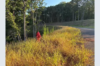 Lot 28 Norton Lane, Dahlonega, GA 30533 - Photo 17