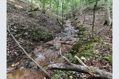 Lot 28 Norton Lane, Dahlonega, GA 30533 - Photo 45