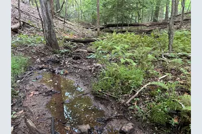 Lot 28 Norton Lane, Dahlonega, GA 30533 - Photo 47