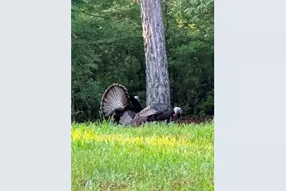35 Prayer Trail, Aragon, GA 30104 - Photo 57