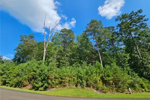241 Carters Vw Ln, Ellijay, GA 30540 - Photo 1