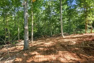 277 Eden Woods, Clarkesville, GA 30523 - Photo 39