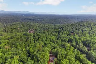 285 Parnell Dr, Ellijay, GA 30540 - Photo 37
