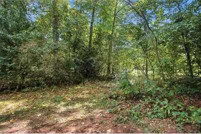 255 Belmont Farms Drive, Ellenwood, GA 30294 - Photo 21