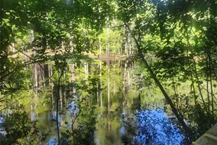 000 Hwy 142, Newborn, GA 30047 - Photo 1